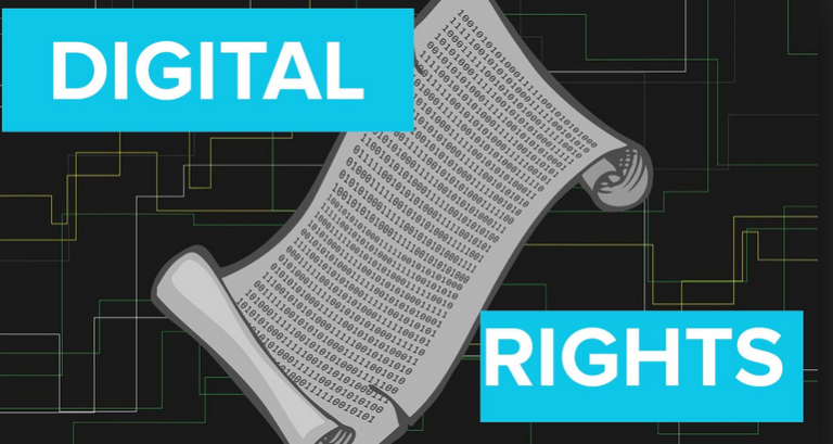 AFEX Holds Capacity Building Workshop on Digital Rights for Media Advocacy Groups in Africa