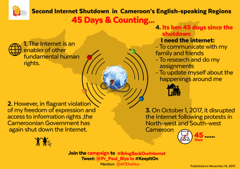 45 Days in Cyber Darkness: Cameroon Switches off Internet for Second Time in the Year